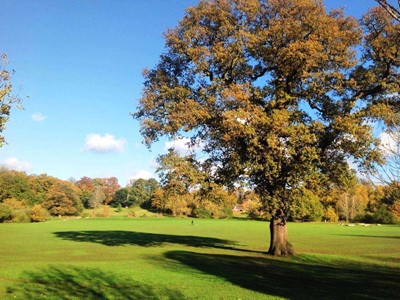 Estate agents in Berkshire