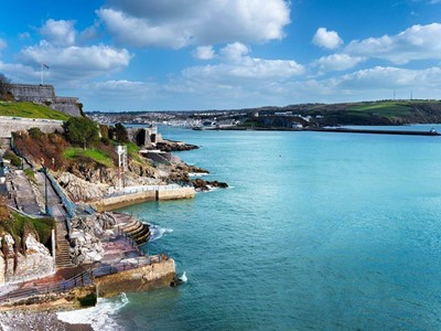 Estate agents in Devon