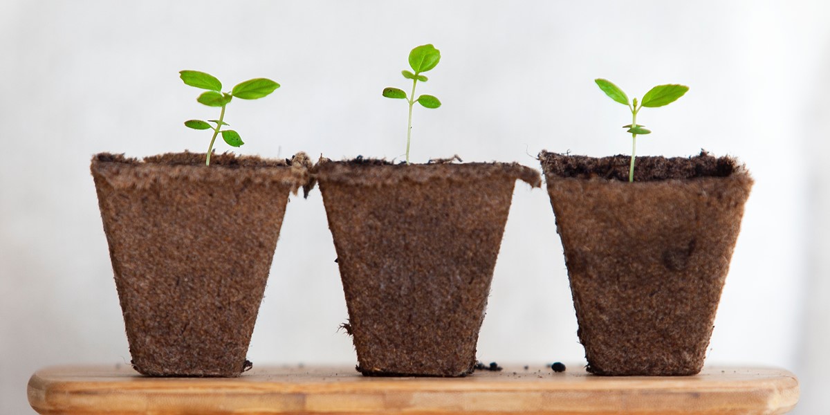 Advice on how to expand your property portfolio