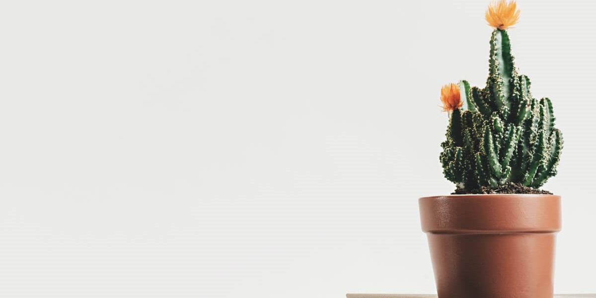 A landlord's guide to gas safety
