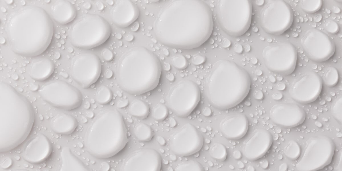 haart's guide to dealing with damp and mould in your rental property