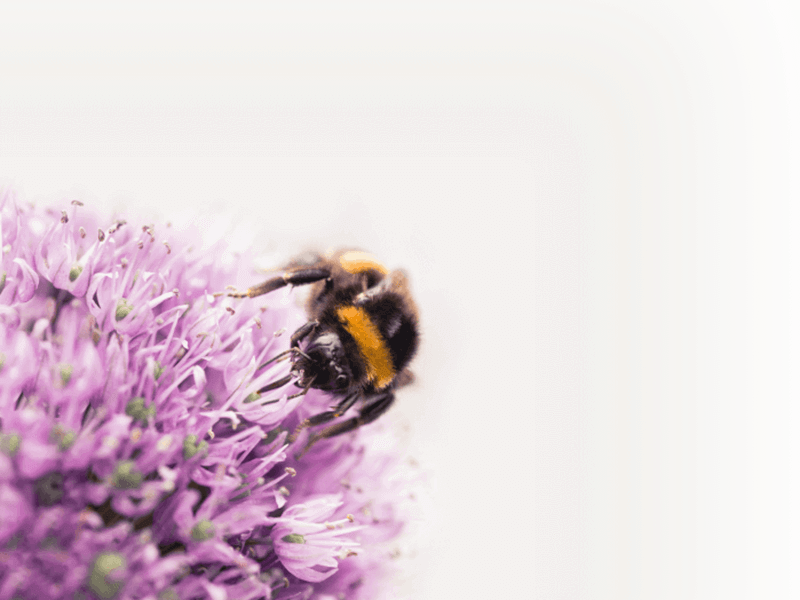 Selling before you buy