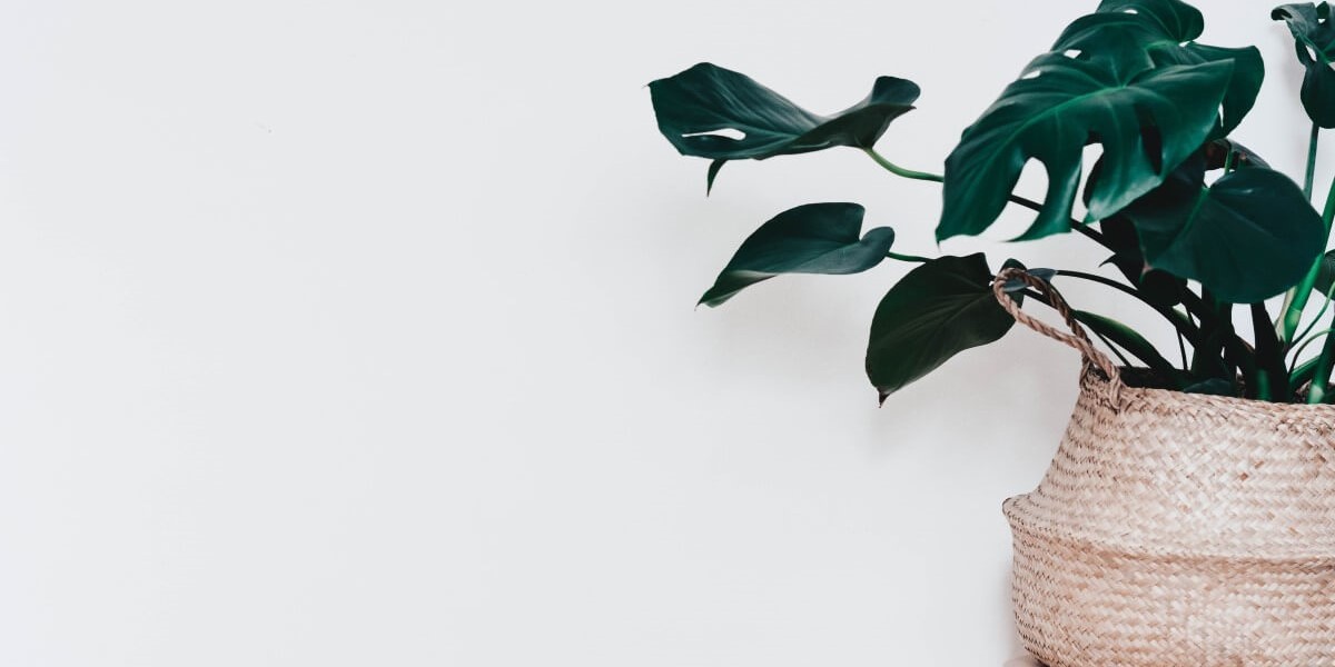 Guide to all inclusive tenancies for landlords